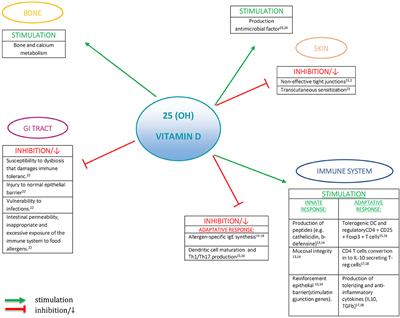 Role of Vitamin D in Prevention of Food Allergy in Infants